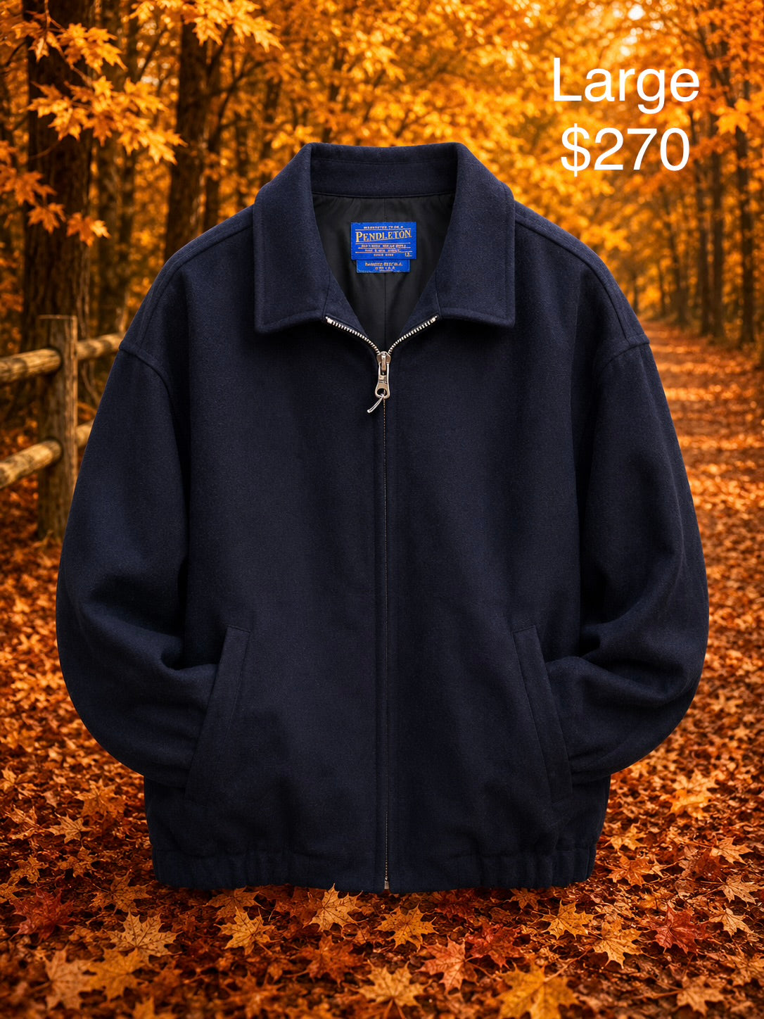 Pendleton Coats (Large)