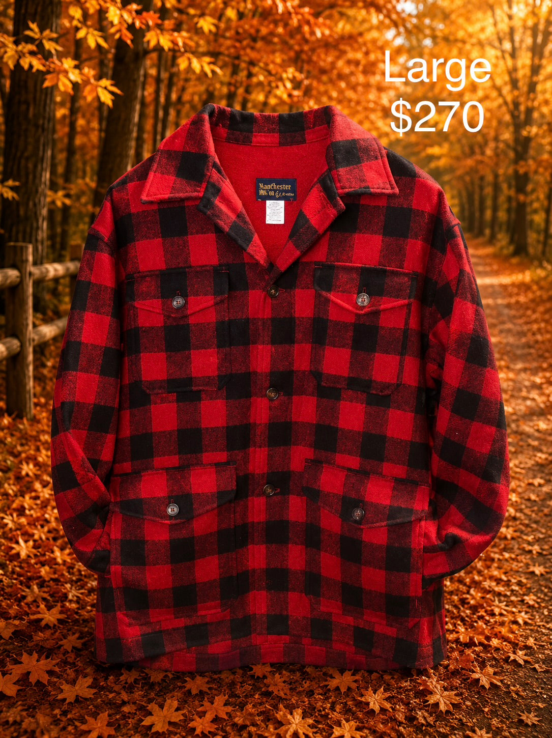 Pendleton Button-Up (Large)