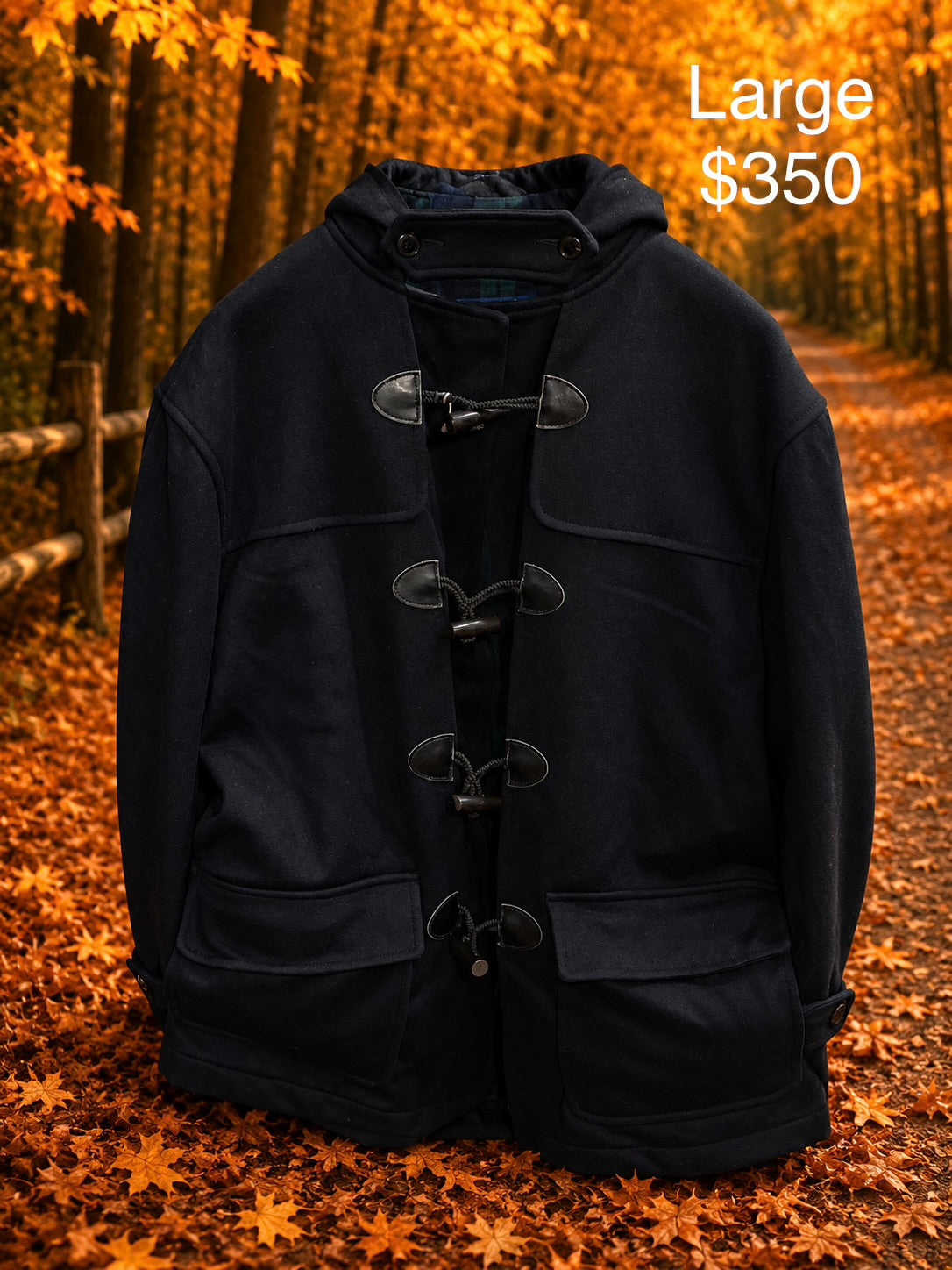 Pendleton Coat (Large)