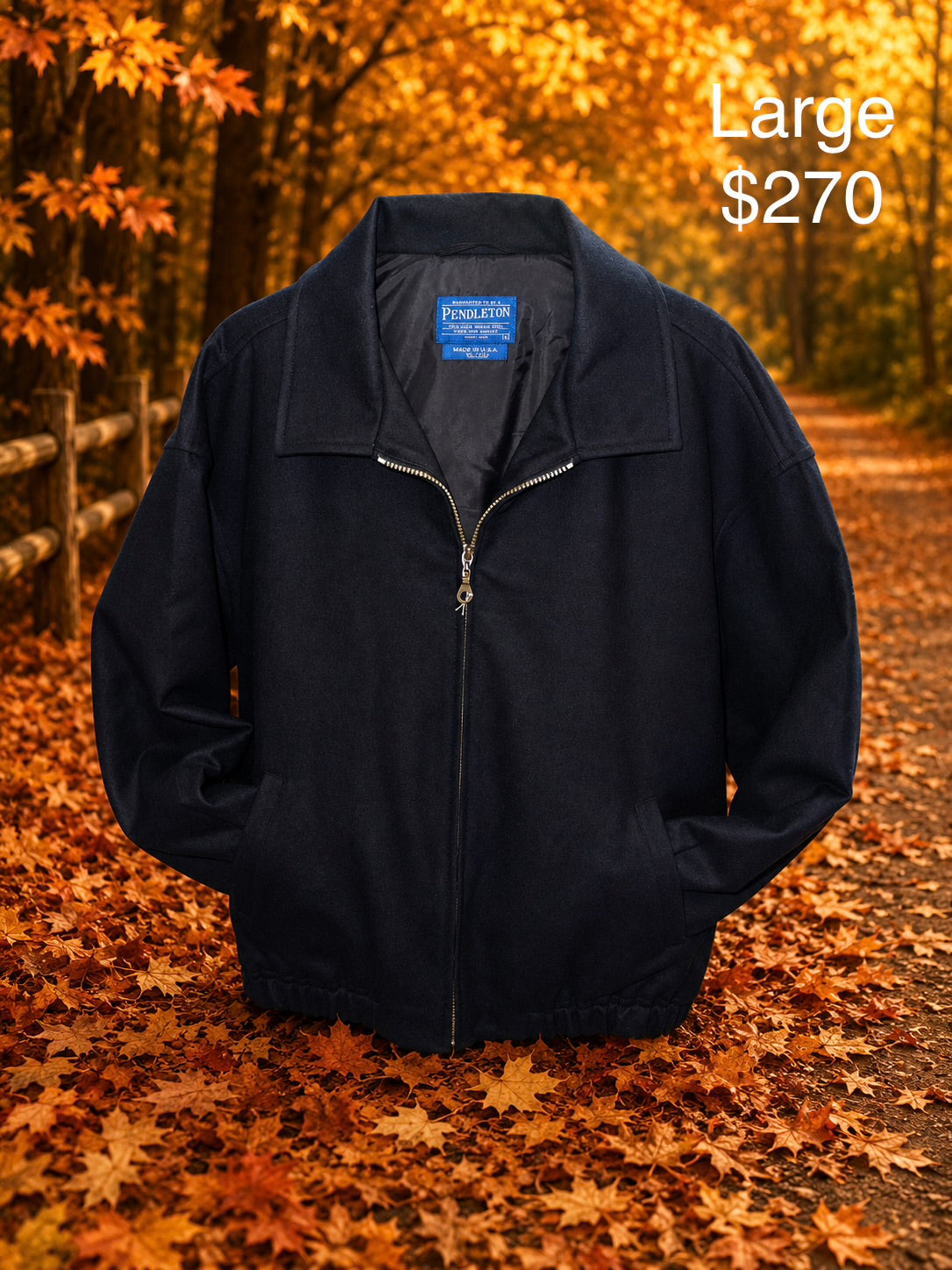 Pendleton Coat (Large)